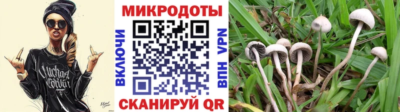 Псилоцибиновые грибы мухоморы hydra маркетплейс Анжеро-Судженск где можно купить наркотик